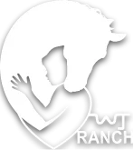 Runnin’ WJ Ranch in Texarkana, Texas