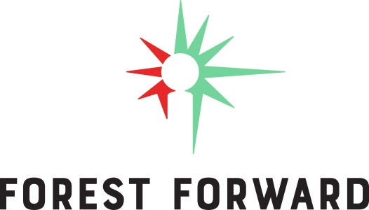 Forest Forward