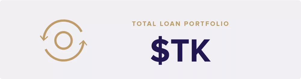 TMF Impact Report factoids 3 Loan Portfolio