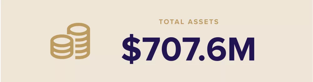 TMF Impact Report Icons with stats factoids 5 Total Assets