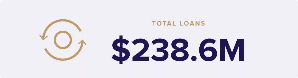 TMF Impact Report Icons with stats factoids 5 Loans